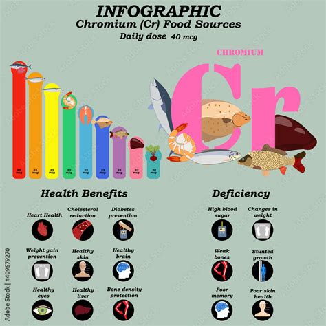 Health Benefits Of Chromium Supplement Infographic Vector Illustration Stock Vector Adobe Stock