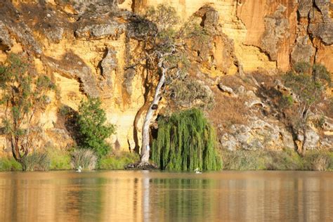 Murray River Boats All Cruises Murray River Cruises