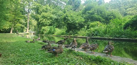 My favorite family (Brandywine Park) : r/Delaware