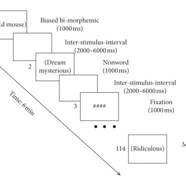 Illustration Of The Experimental Procedure With Examples Of Stimuli