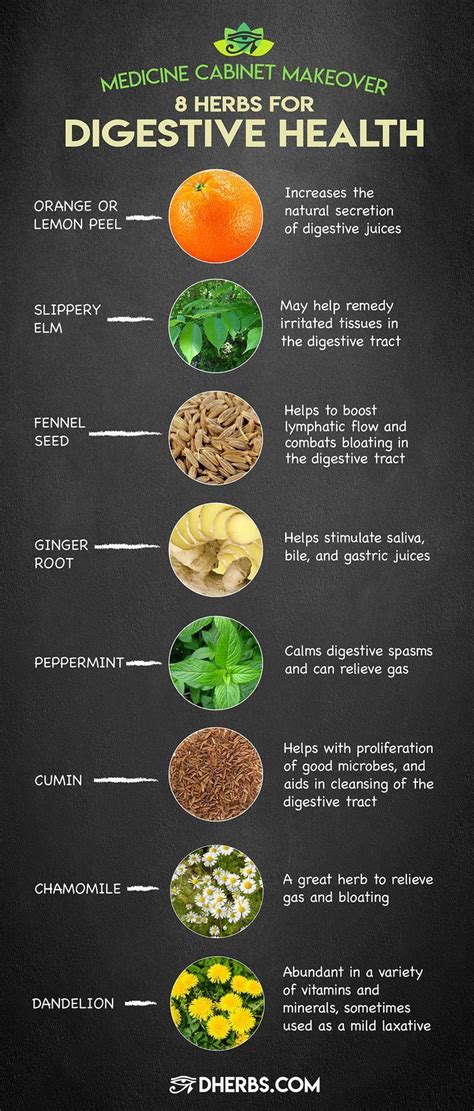 How To Improve Digestion Economicsprogress5