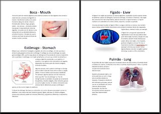 Educar Corpo Humano Parte Texto Formatar Imagens E Webgrafia