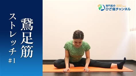 【膝の内側のストレッチ】寝る前に鵞足をほぐす※ひざ痛専門トレーナー監修 Youtube