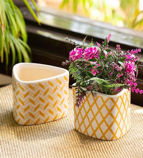 Buy Plaid Designs Set Of Ceramic Table Planter Pot At Off By