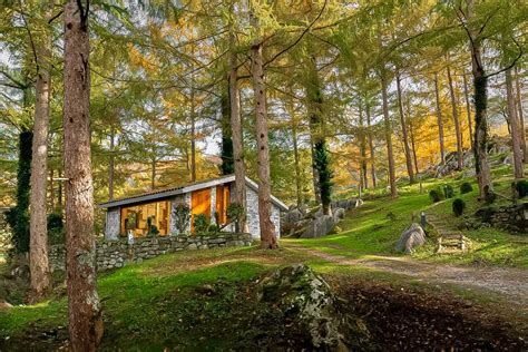 11 Cabañas en el bosque Dormir entre árboles en plena naturaleza