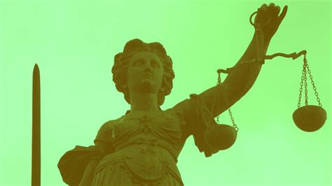 future  international environmental law  world