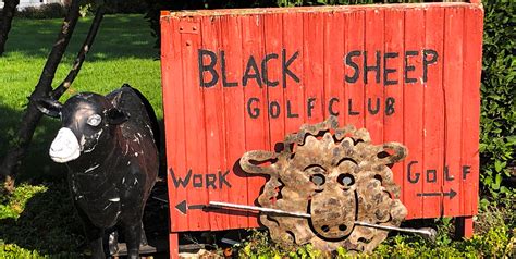 black sheep golf club 1