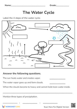 Free Printable Water Cycle Worksheets for All Grades