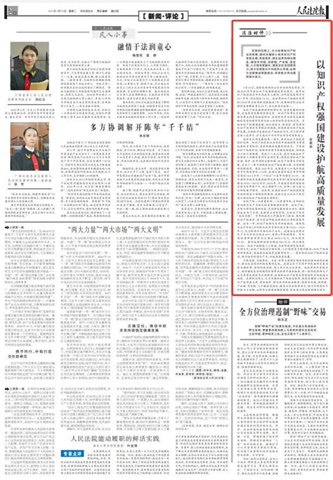 【法治时评】以知识产权强国建设护航高质量发展 澎湃号·政务 澎湃新闻 The Paper