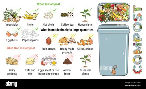 Infographic Of Composting Bin With Kitchen Scraps What To Or Not To