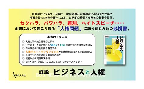 詳説 ビジネスと人権 日本弁護士連合会国際人権問題委員会 日本弁護士連合会国際人権問題委員会 本 通販 Amazon