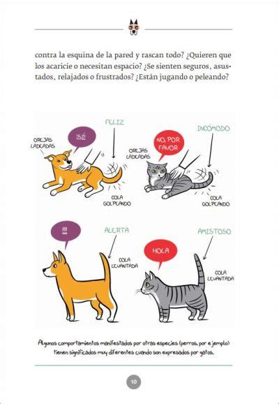 Lenguaje felino Una guía ilustrada para entender a tu gato Viralatas