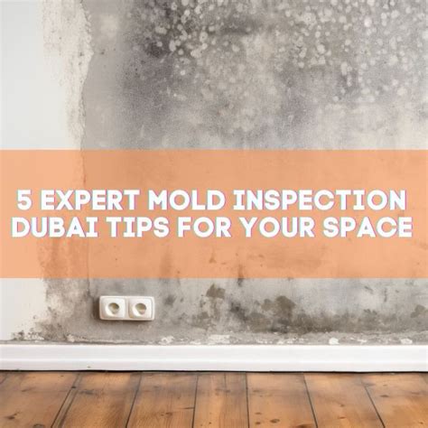 Expert Mold Inspection Dubai Tips For Your Space