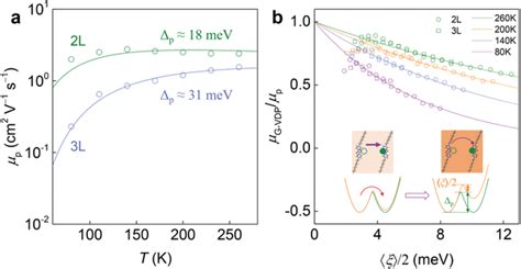 Effect Of The Coulomb Interactions On The Polaron Transport A μp As A