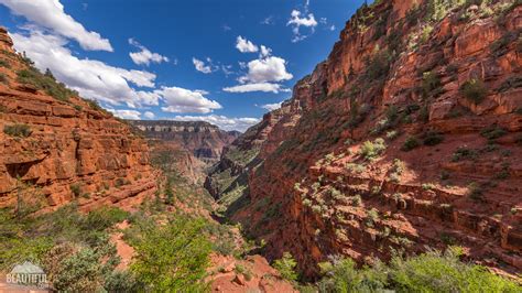 North Kaibab Trail 44 | ProArtInc