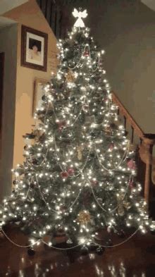 Tree Lighting Christmas Lights GIF - Tree Lighting Christmas Lights ...