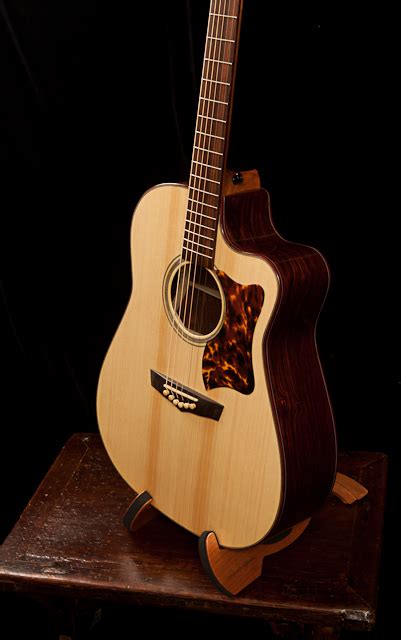 Cocobolo Guitar | Lichty Guitars