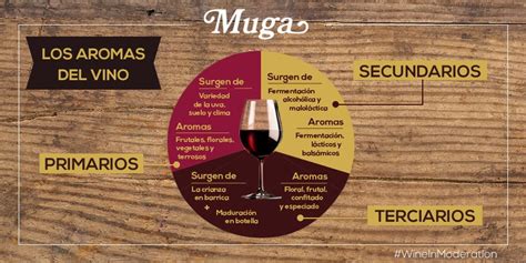 Cuarenta Grados Los Aromas Del Vino