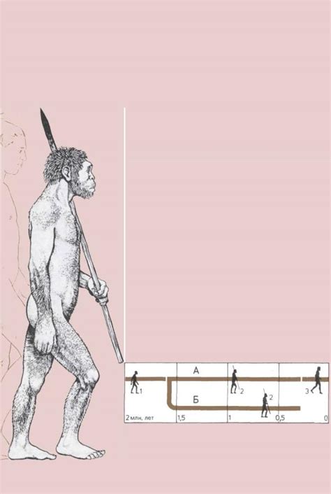 Глава 6 ЧЕЛОВЕК ПРЯМОХОДЯЩИЙ