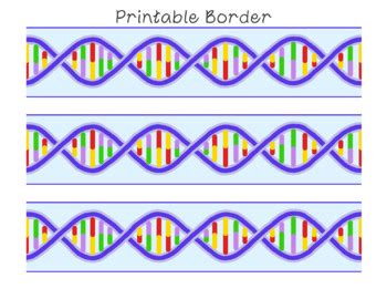 DNA Bulletin Board Border Printable PDF Biology Science Clip Art