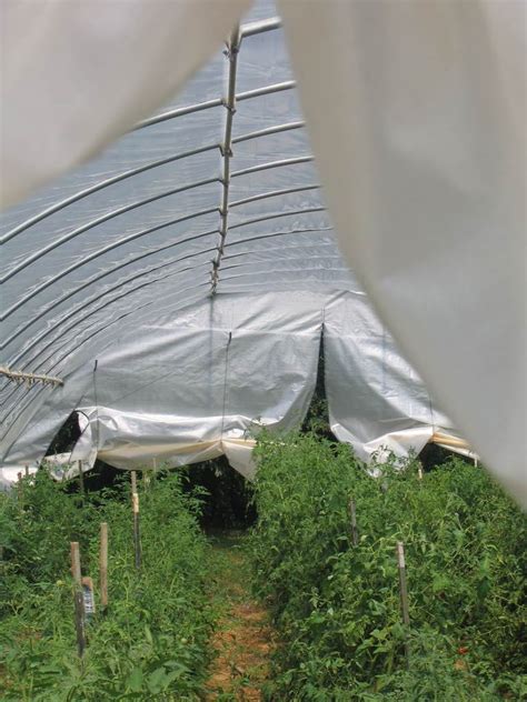 Easy Instructions To Build A PVC Hoop House For Your Garden