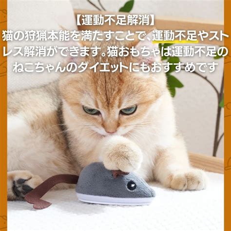 【楽天市場】猫 おもちゃ ネズミ 逃げ回る 選べる2カラー 電動 ペット 一人遊び 玩具 猫用 ネコ グッズ 猫のおもちゃ ペット用品 可愛い