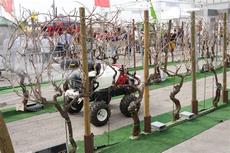 Agrilevante 2023 Lagricoltura In Festa Edizione Record VIDEO