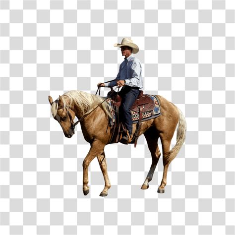 Homem Andando De Cavalo Png Baixar Imagem Em Png