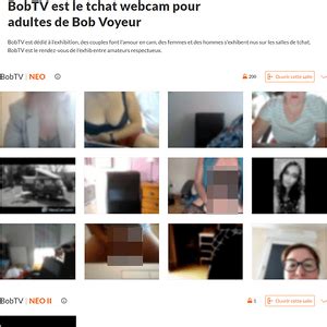 Les Sites De Chat Sexe Porn Dude