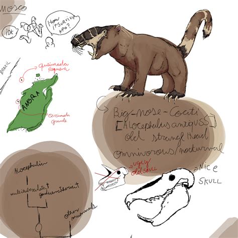 Big nosed coati by ELMOSCQUITTO on DeviantArt