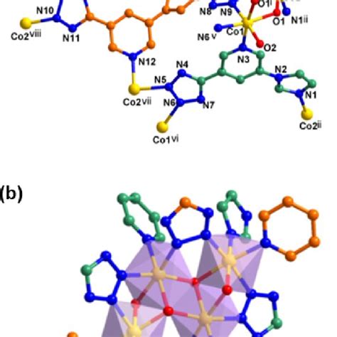 A Coordination Environment Of Co Ii And The Coordination Mode Of