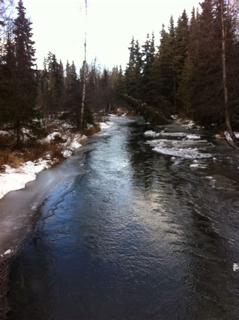 Life in Alaska — A View From Homer: Campbell Creek Trail, Anchorage