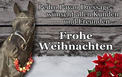 Frohe Weihnachten Pedro Pavao GmbH