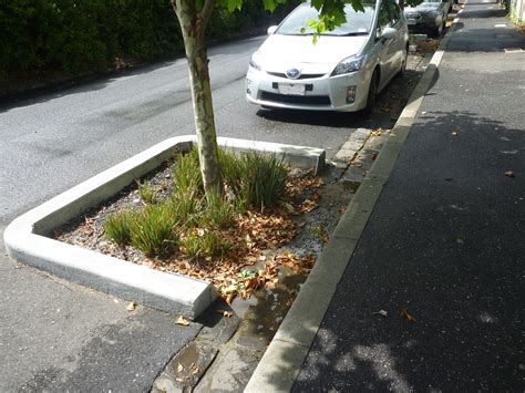 street raingarden tree pits ralf pfleiderer environmental consulting