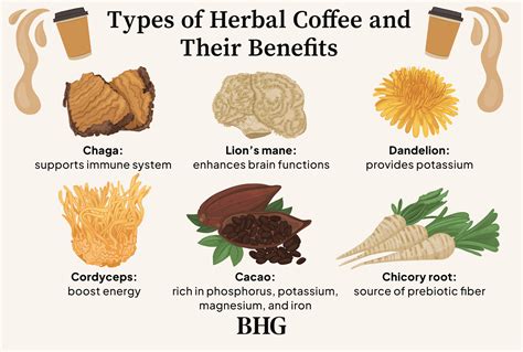 Herbal Coffee Alternatives Are on the Rise—Here’s What to Know