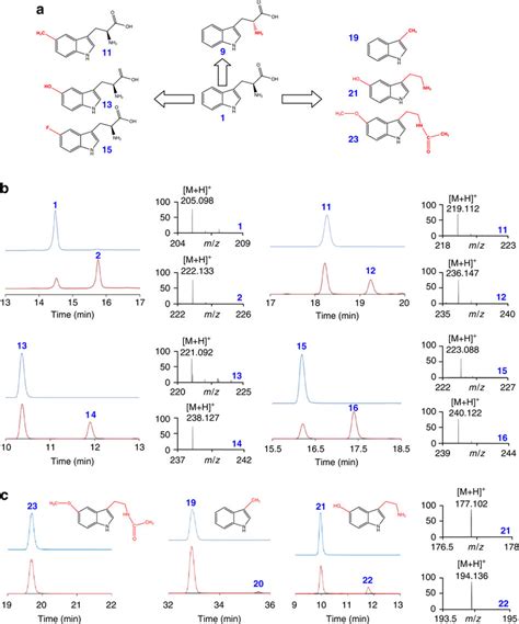 Substrate Promiscuity Of Tsrm A Structure Of Representative Indole