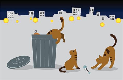 Stray Cats Illustrations Illustrations Royalty Free Vector Graphics