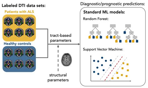 IJMS Free Full Text Diffusion Tensor Imaging In Amyotrophic Lateral