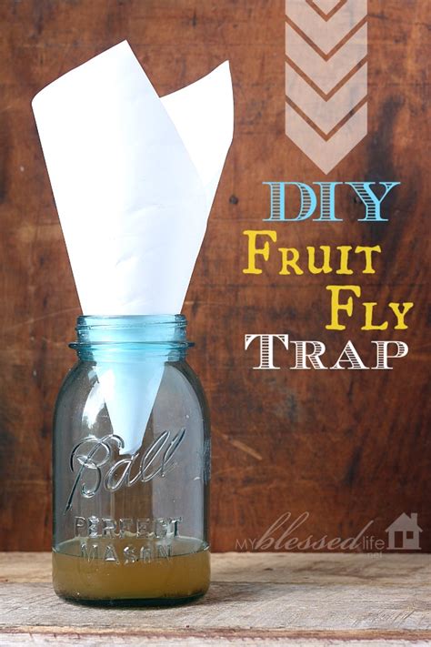 Easy Homemade Trap To Get Rid Of Fruit Flies Homemade