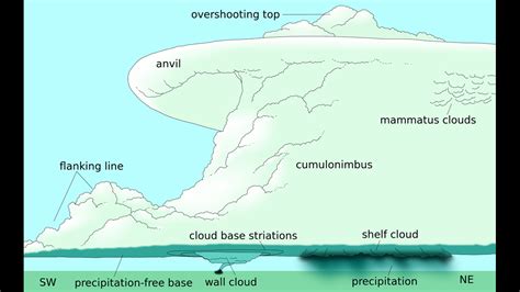 Storms: Supercells, Cumulonimbus, updraft, downdraft, anvil | whas11.com