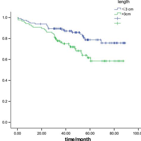 Kaplan Meier Survival Curves In 201 Patients With R0 Resected