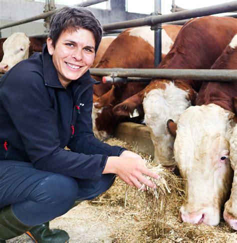 Bayerische Tierschutzleitlinie für Haltung von Mastrindern und