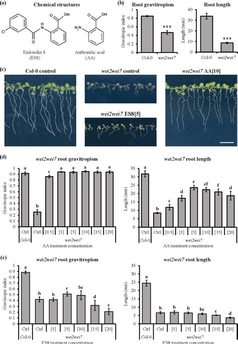 Figure 1 From A Role For The Auxin Precursor Anthranilic Acid In Root