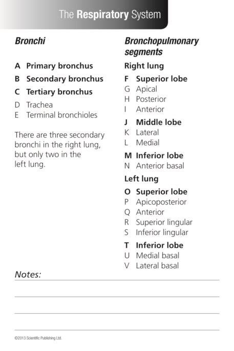 Anatomy Flash Cards Scientific Publishing