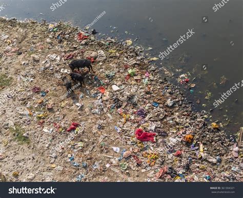 Ganges Pollution Stock Photos and Pictures - 1,329 Images | Shutterstock