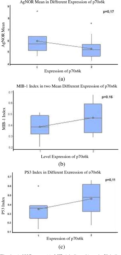 Figure 1 From The Relationship Between Expression Of P70s6k With