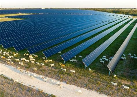 Lightsource Bp Takes Italian Solar Portfolio To Gw With New Addition