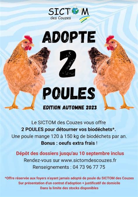 Adopter Deux Poules Pour Réduire Ses Déchets Clos