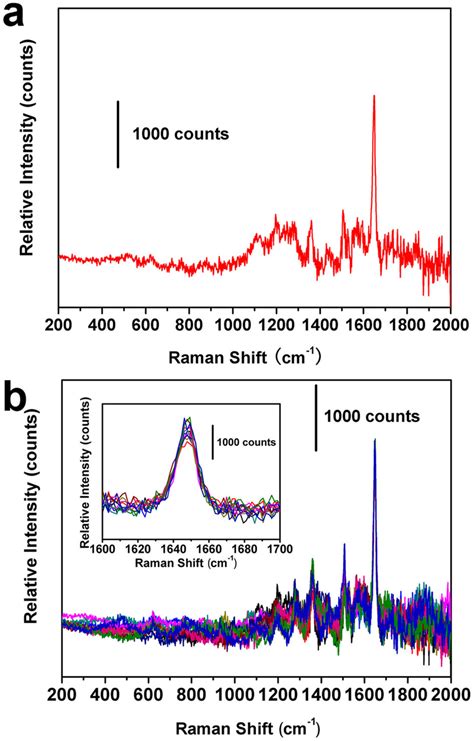 Sers Spectra Of 10−6 M Rhb On The Coated A Type Mgnwas B Sers