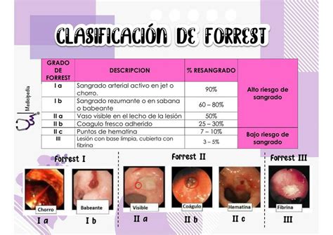 Clasificación Forrest Medicipedia uDocz